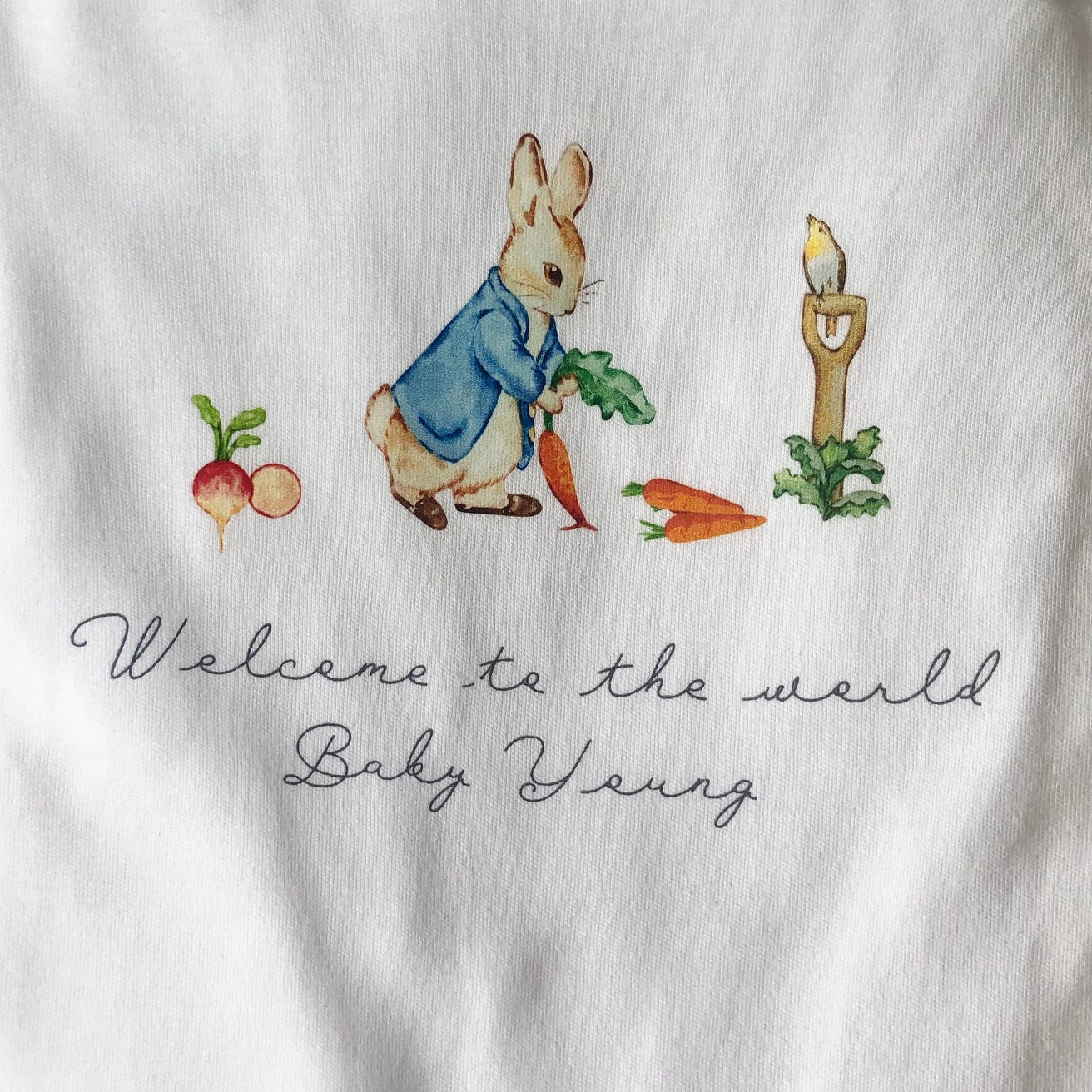 Peter rabbit Bib - Personalise me