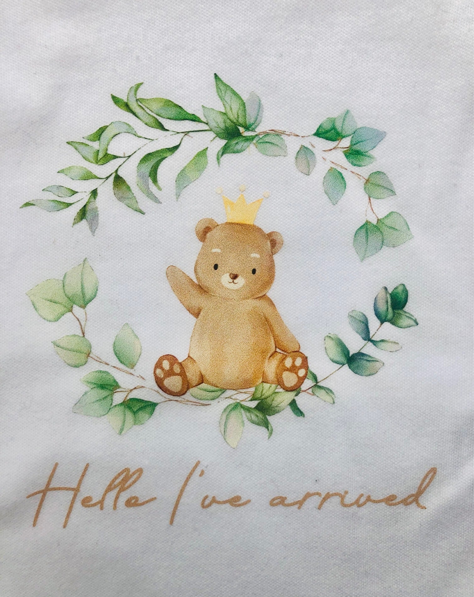 Baby bear sleep suit. Close up of  bear print